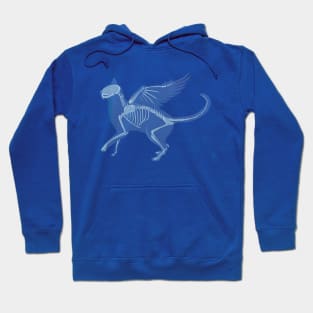 cat's spirits Hoodie